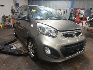 Kia Picanto Picanto (TA) Hatchback 1.0 12V (G3LA) [51kW]  (05-2011/06-2017) picture 2
