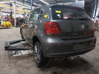 Volkswagen Polo Polo V (6R) Hatchback 1.6 TDI 16V 90 (CAYB) [66kW]  (06-2009/05-2014) picture 4