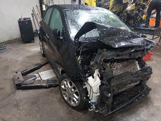 Kia Picanto Picanto (TA) Hatchback 1.2 16V (G4LA5) [63kW]  (09-2011/06-2017) picture 2