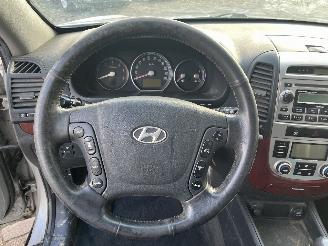 Hyundai Santa Fe Santa Fe II (CM) SUV 2.2 CRDi 16V 4x2 (D4EB) [114kW]  (03-2006/12-2009=
) picture 14
