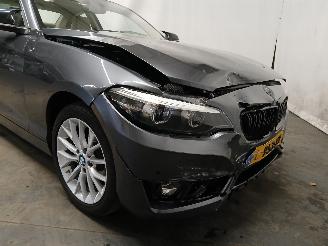 BMW 2-serie 2 serie (F22/F87) Coupé 218i 1.5 TwinPower Turbo 12V (B38-B15A) [100=
kW]  (03-2015/06-2021) picture 29