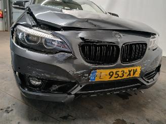 BMW 2-serie 2 serie (F22/F87) Coupé 218i 1.5 TwinPower Turbo 12V (B38-B15A) [100=
kW]  (03-2015/06-2021) picture 28