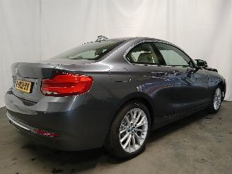 BMW 2-serie 2 serie (F22/F87) Coupé 218i 1.5 TwinPower Turbo 12V (B38-B15A) [100=
kW]  (03-2015/06-2021) picture 6
