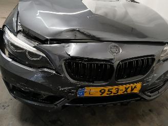 BMW 2-serie 2 serie (F22/F87) Coupé 218i 1.5 TwinPower Turbo 12V (B38-B15A) [100=
kW]  (03-2015/06-2021) picture 27