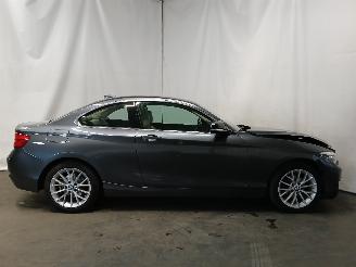 BMW 2-serie 2 serie (F22/F87) Coupé 218i 1.5 TwinPower Turbo 12V (B38-B15A) [100=
kW]  (03-2015/06-2021) picture 7
