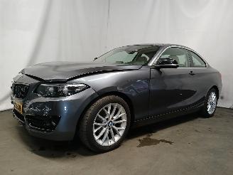 BMW 2-serie 2 serie (F22/F87) Coupé 218i 1.5 TwinPower Turbo 12V (B38-B15A) [100=
kW]  (03-2015/06-2021) picture 3