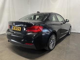 BMW 2-serie 2 serie (F22/F87) Coupé 218i 1.5 TwinPower Turbo 12V (B38-B15A) [100=
kW]  (03-2015/06-2021) picture 6