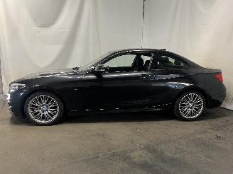 BMW 2-serie 2 serie (F22/F87) Coupé 218i 1.5 TwinPower Turbo 12V (B38-B15A) [100=
kW]  (03-2015/06-2021) picture 4