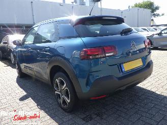 Citroën C4 cactus 1.2 PureTech Business 110pk picture 5