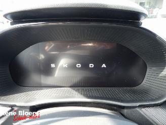 Skoda Fabia 1.0 TSI Selection 116pk DSG picture 15