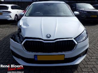 Skoda Fabia 1.0 TSI Selection 116pk DSG picture 7
