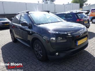 Citroën C4 cactus 1.6 Blue HDI Business 99pk picture 5