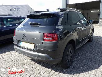 Citroën C4 cactus 1.6 Blue HDI Business 99pk picture 4