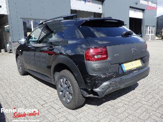 Citroën C4 cactus 1.6 Blue HDI Business 99pk picture 2