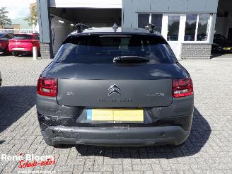Citroën C4 cactus 1.6 Blue HDI Business 99pk picture 3
