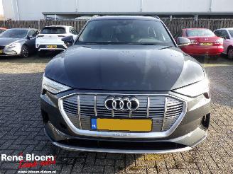 Audi E-tron 55 Quattro 95kwh Aut 408pk picture 6