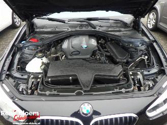 BMW 1-serie 118d Executive Automaat picture 21