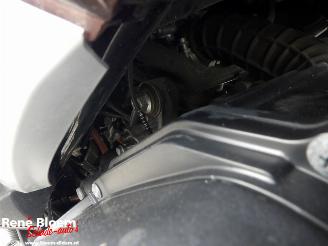 Yamaha XMAX 300 picture 18