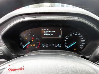 Ford Focus 1.0 Ecoboost Hybrid picture 12