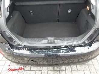 Ford Fiesta 1.0 EcoBoost Titanium picture 10