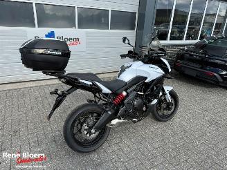 Kawasaki Versys 650 picture 4
