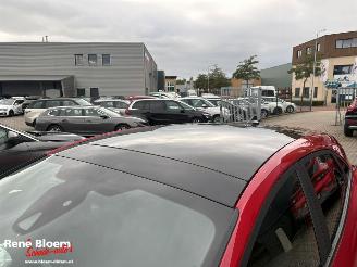 Ford Puma 1.0 Ecoboost Hybrid ST-Line X 125pk aut picture 11