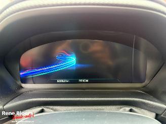 Ford Puma 1.0 Ecoboost Hybrid ST-Line X 125pk aut picture 18
