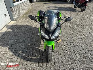 Kawasaki Z 1000 SX ABS picture 8
