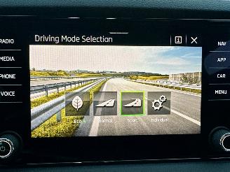 Skoda Karoq 1.5 TSI ACT 150pk 7-Traps aut + F1 Sportline Bus - navi - camera - keyless - virtual - stuurverw - sfeerverl - kuipstoelen picture 18