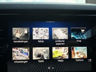 Skoda Karoq 1.5 TSI ACT 150pk 7-Traps aut + F1 Sportline Bus - navi - camera - keyless - virtual - stuurverw - sfeerverl - kuipstoelen picture 31