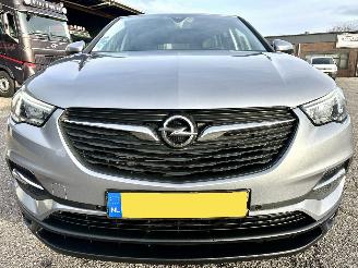 Opel Grandland X 1.2 Turbo 131pk 6-bak Online Edition - nap - navi - clima - cruise - pdc v+a - carplay - privacy glass picture 3