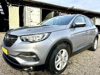 Opel Grandland X 1.2 Turbo 131pk 6-bak Online Edition - nap - navi - clima - cruise - pdc v+a - carplay - privacy glass picture 2