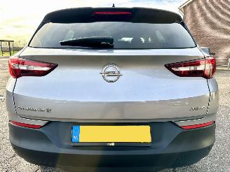 Opel Grandland X 1.2 Turbo 131pk 6-bak Online Edition - nap - navi - clima - cruise - pdc v+a - carplay - privacy glass picture 6