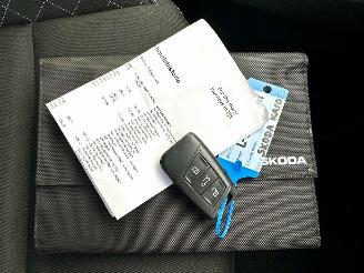 Skoda Karoq 1.5 TSI 150pk 7-Traps aut Bus.Edition - nap - navi - stoelverw - pdc - front assist - keyless - inkl trekh picture 52