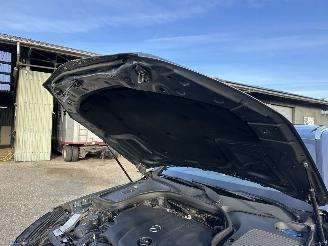 Mercedes GLC gereserveerd 220d 170pk 9-traps aut + f1 4Matic AMG - pano - nap - navi - camera - 20 inch - trekh - elektr klep picture 97