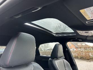 Lexus NX 300h 2.5 Hybrid aut + f1 AWD F-Sport Line - schuifdak - front + line assist - head up - elektr stuur + klep picture 13