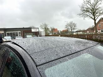 Volkswagen Polo 1.0 TSI 95pk aut + f1 Highline - nap - pano - sfeerverl - virtual - acc - front assist - carplay - pdc v+a picture 102