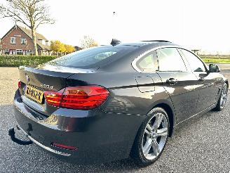 BMW 4-serie Gran Coupé 420d 190pk aut High Exec - schuifdak - nap - hud - leer - 360cam - line + side assist - harman picture 4
