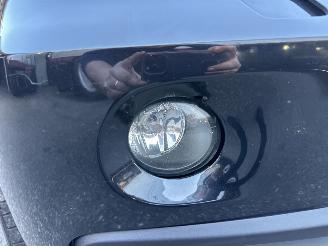 BMW X5 xDrive30d 235pk 6-traps aut Executive 7Pers - nav - camera - leer + stoelverw - 20 inch m-sport - zwarte hemel - trekh picture 103