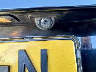 BMW X5 xDrive30d 235pk 6-traps aut Executive 7Pers - nav - camera - leer + stoelverw - 20 inch m-sport - zwarte hemel - trekh picture 94