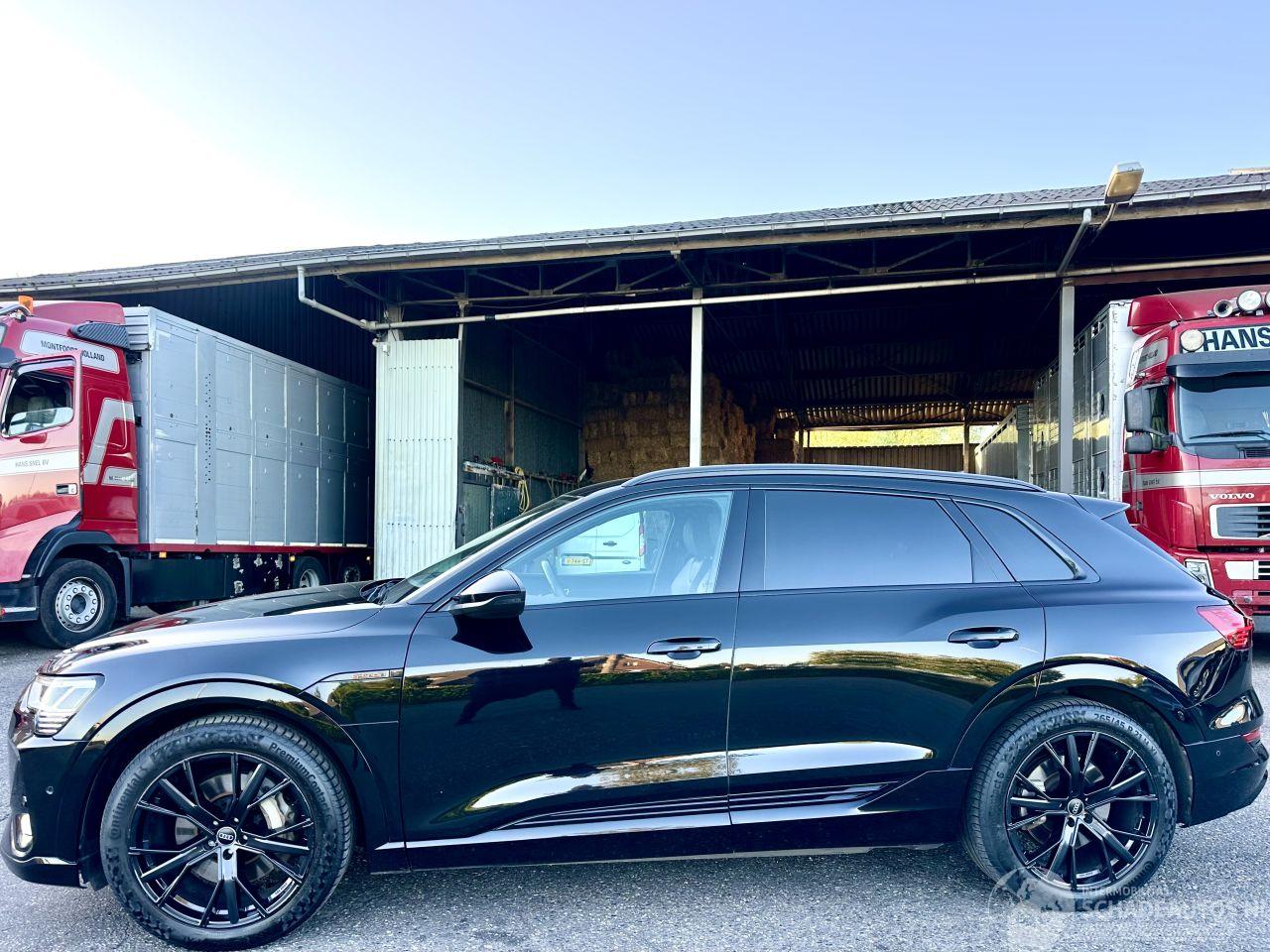 Audi E-tron 55 Quattro S-Edition 95kWh 408pk aut + F1 - nap - 1e eig - leer - front + line + park assist - keyless - elektr klep