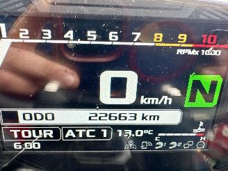 Aprilia  SHIVER 900 - led knipperlichten - drive modus - carbon spatbord - verstelbaar achterveer - stickersset picture 12