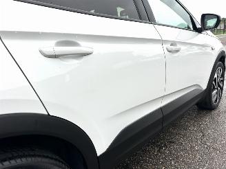 Opel Grandland Gereserveerd X 1.2 Turbo 131pk aut Innovation - 360cam - keyless - nav - line + side assist - stoelkoeling - stuurverw - stoelverw v+a picture 98