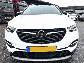 Opel Grandland X 1.2 Turbo 131pk aut Innovation - 360cam - keyless - nav - line + side assist - stoelkoeling - stuurverw - stoelverw v+a picture 3