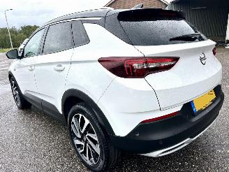 Opel Grandland X 1.2 Turbo 131pk aut Innovation - 360cam - keyless - nav - line + side assist - stoelkoeling - stuurverw - stoelverw v+a picture 7