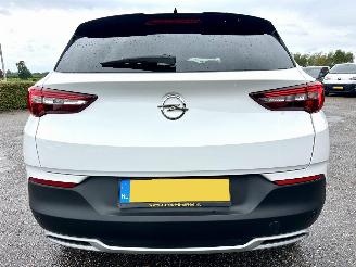 Opel Grandland X 1.2 Turbo 131pk aut Innovation - 360cam - keyless - nav - line + side assist - stoelkoeling - stuurverw - stoelverw v+a picture 6
