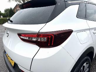 Opel Grandland Gereserveerd X 1.2 Turbo 131pk aut Innovation - 360cam - keyless - nav - line + side assist - stoelkoeling - stuurverw - stoelverw v+a picture 95