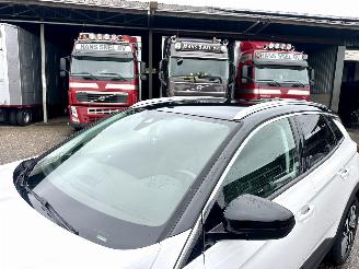 Opel Grandland Gereserveerd X 1.2 Turbo 131pk aut Innovation - 360cam - keyless - nav - line + side assist - stoelkoeling - stuurverw - stoelverw v+a picture 107
