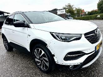 Opel Grandland X 1.2 Turbo 131pk aut Innovation - 360cam - keyless - nav - line + side assist - stoelkoeling - stuurverw - stoelverw v+a picture 4