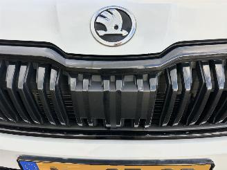 Skoda Kodiaq 1.5 TSI 150pk aut + f1 Sportline Bus - nap - camera - keyless - stuurverw - front + line + side assist picture 106